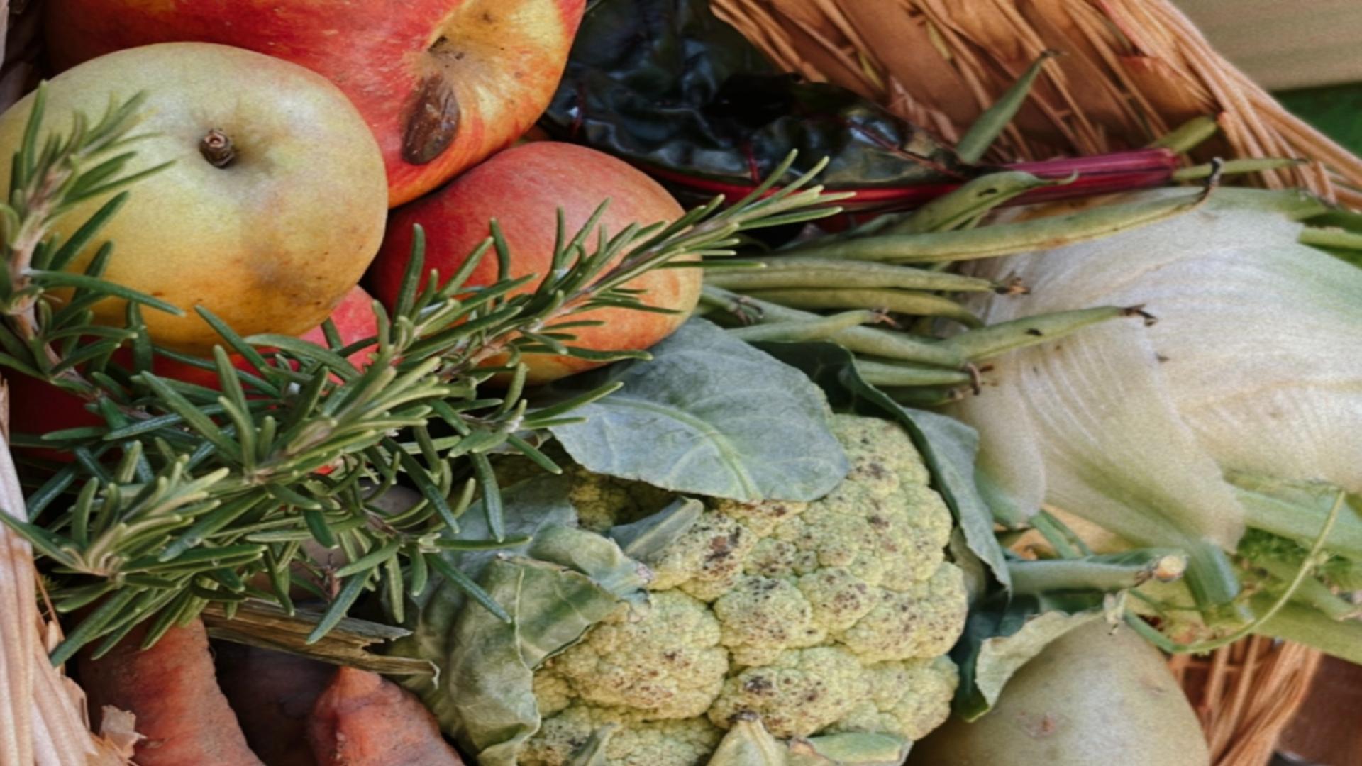 Lebensmittelverschwendung – eine Herausforderung für die Abfallvermeidung