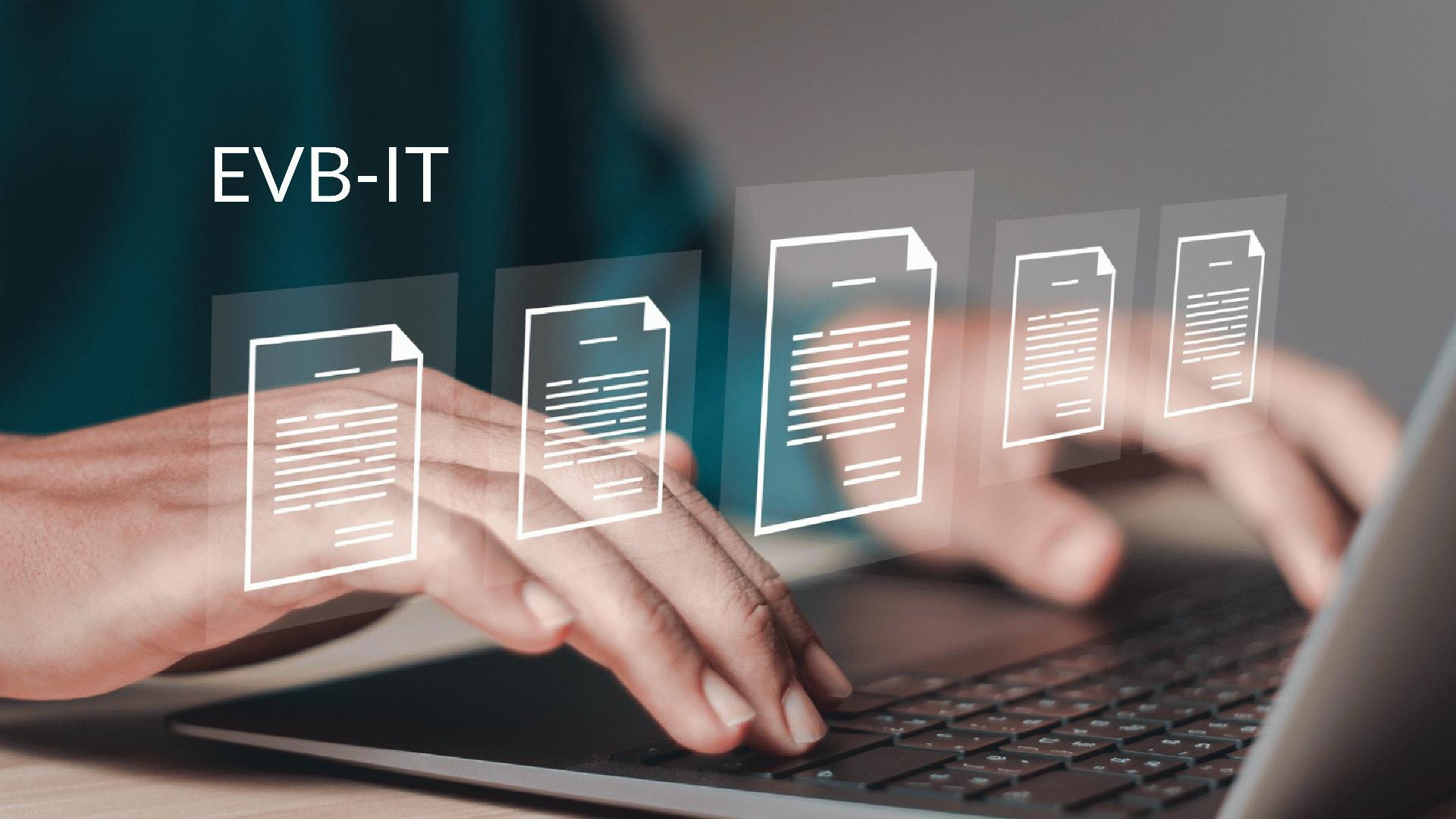 IT-Leistungen in der Kommunalwirtschaft mit den EVB-IT beschaffen: Standards nutzen und Risiken senken