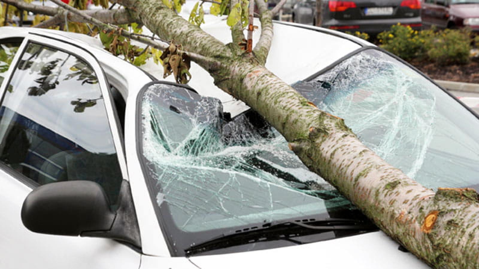 Wer haftet für Sturmschäden am Auto?