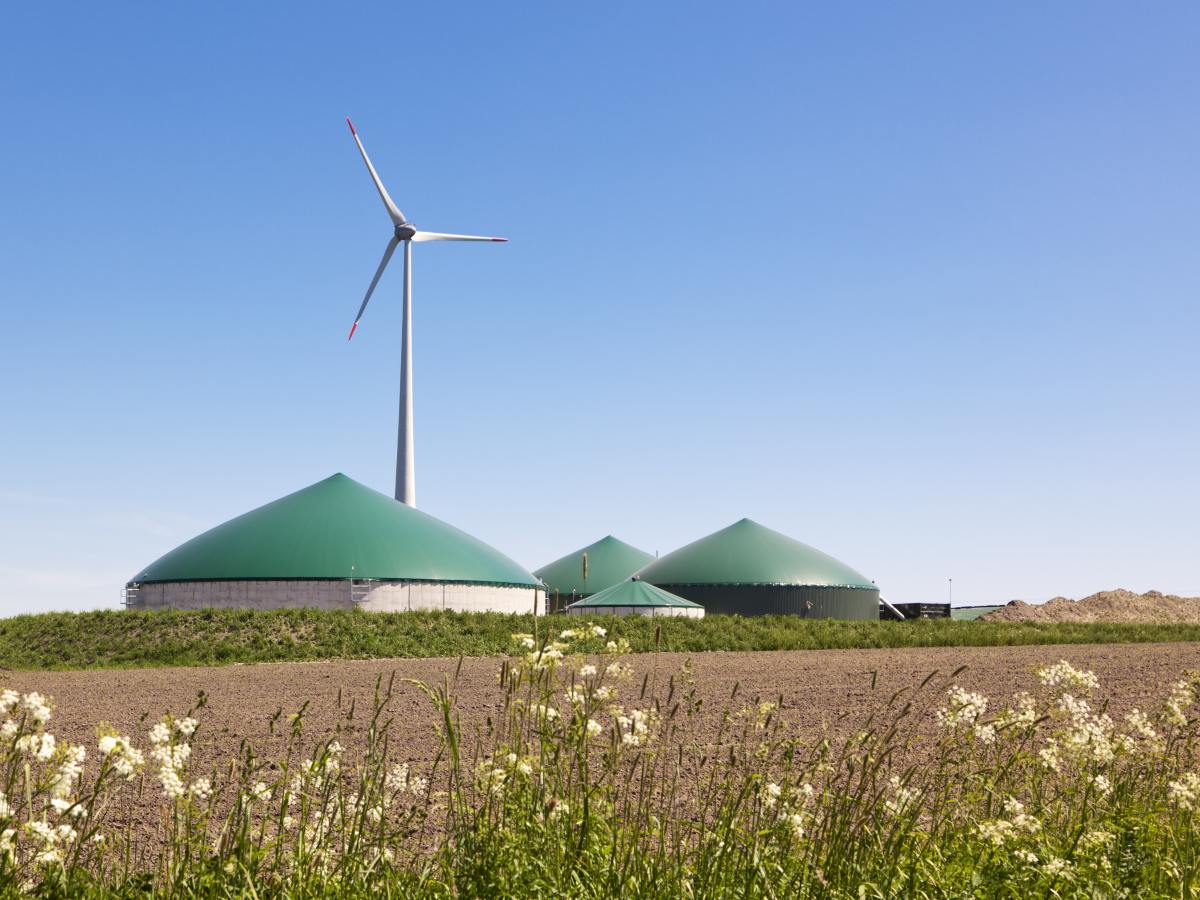 Kooperation mit N-E-ST: Trianel baut Virtuelles Kraftwerk weiter aus