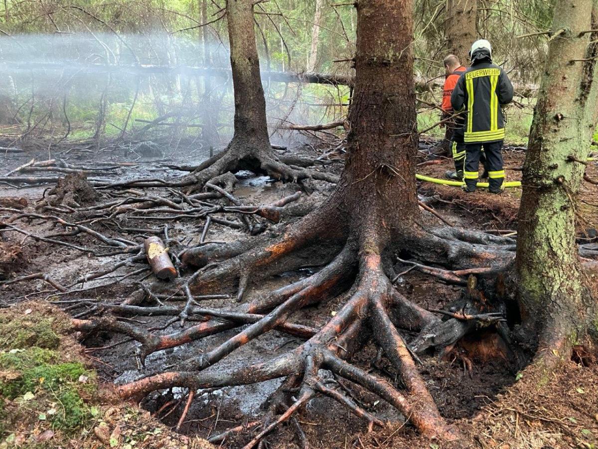 Stadtforstamt weist auf erhöhte Waldbrandgefahr hin