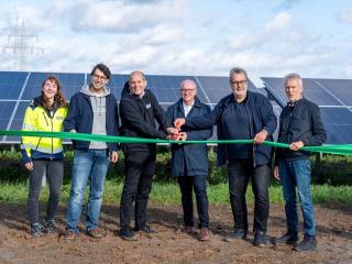 Solarpark Dedendorf eröffnet: Bürgerenergie-Projekt liefert Strom und schafft Platz für Artenvielfalt - Image