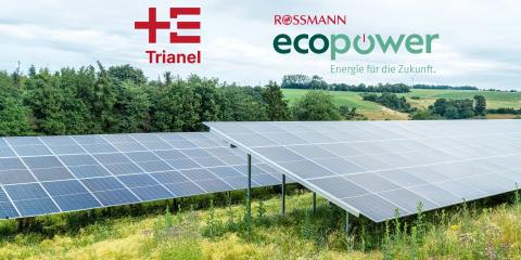 Trianel unterstützt ROSSMANN auf dem Weg zu einer grüneren Zukunft - Image
