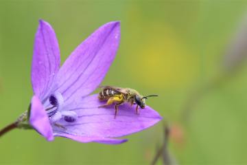 Foto: NABU/Anette Marquardt