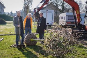 Neue Straßenbäume für Sankt Augustin - Image