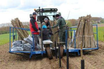 Aufbau des Demonstrationsnetzwerkes Agroforst begonnen